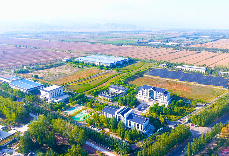  制水OD官网入口_OD中国